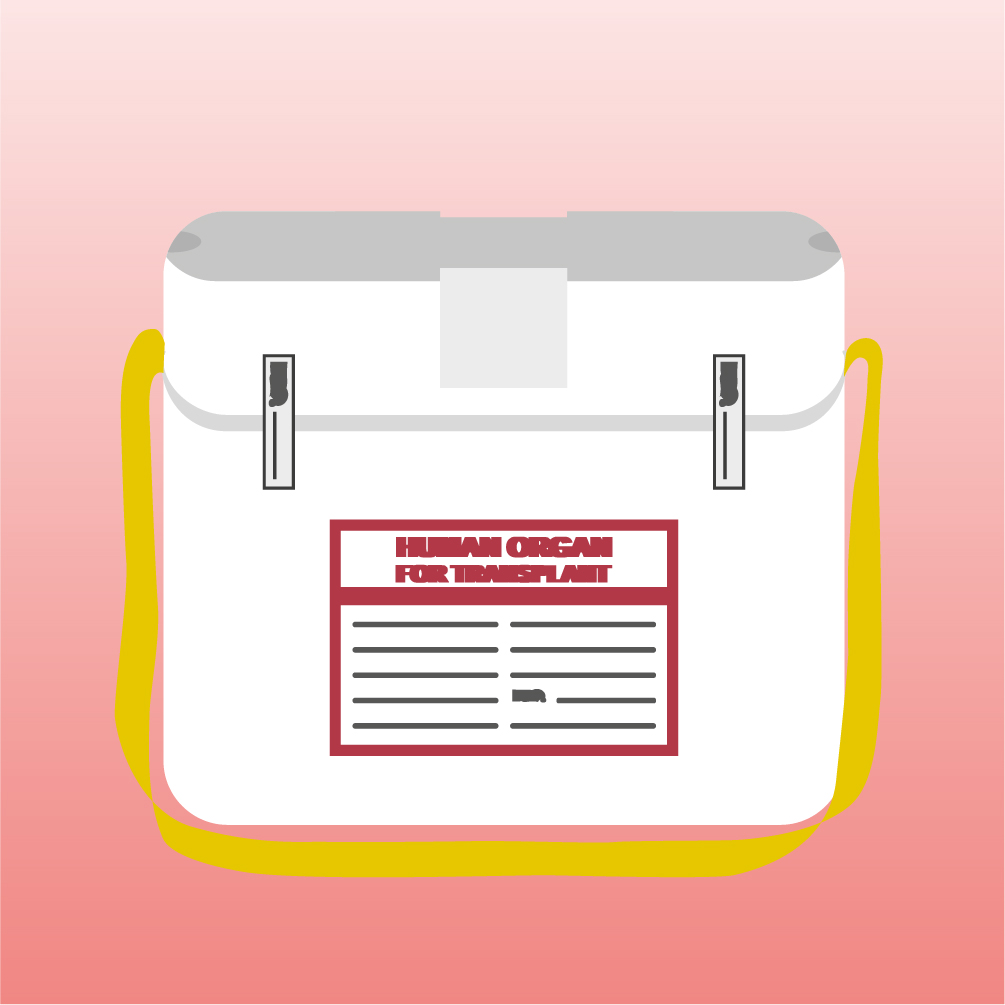 Transplantationsbeauftragter Arzt/Transplantationsbeauftragte Ärztin 2025 - Modul 2