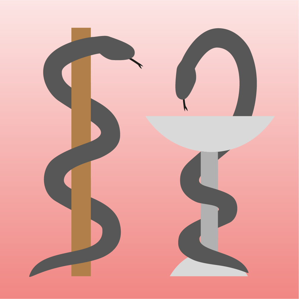 Online-Seminar: "Beschwerden in der Schwangerschaft - gemeinsam behandeln und beraten" 2026