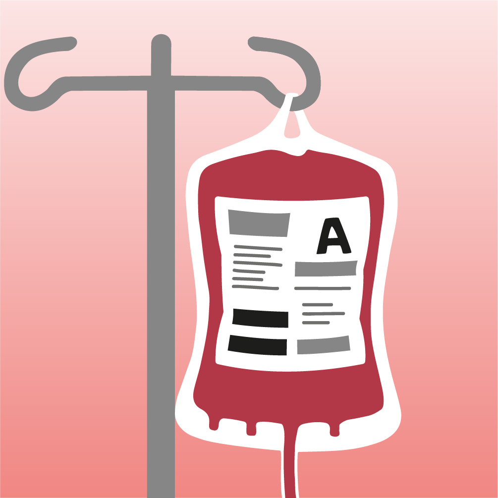 Transfusionsverantwortliche:r/Transfusionsbeauftragte:r/Leitung Blutdepot 2026