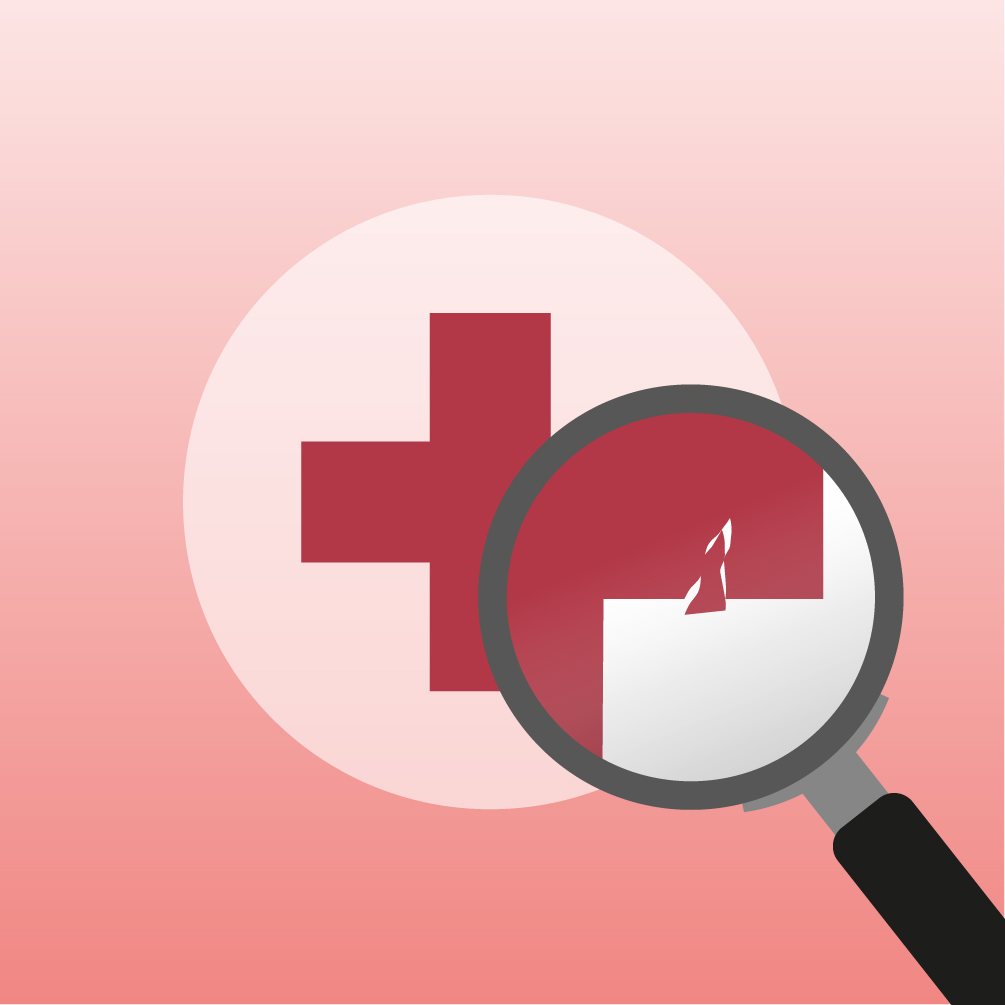 Schulung Peer Review Intensivmedizin 2027