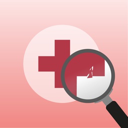 Schulung Peer Review Intensivmedizin 2027